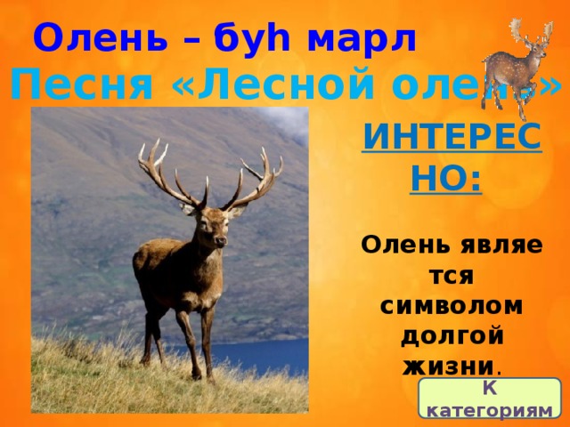 Олень – буһ марл Песня «Лесной олень» ИНТЕРЕСНО:   Олень является символом долгой жизни . К категориям 