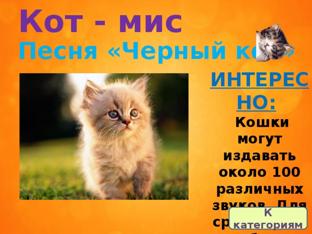 Кот - мис Песня «Черный кот» ИНТЕРЕСНО:     Кошки могут издавать около 100 различных звуков. Для сравнения - собаки только около 10. К категориям 