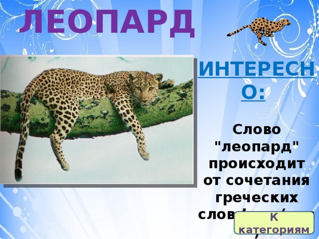ЛЕОПАРД ИНТЕРЕСНО:   Слово 