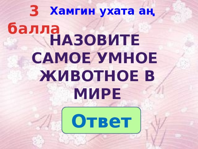 3 балла Хамгин ухата аң  Назовите Самое умное животное в мире Ответ 