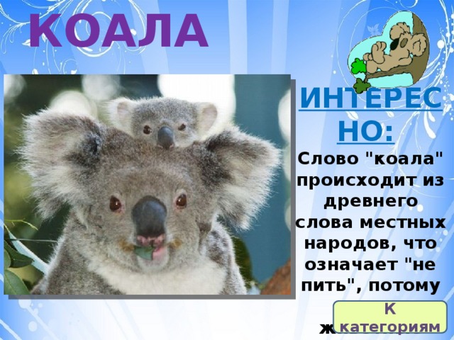КОАЛА ИНТЕРЕСНО:   Слово 