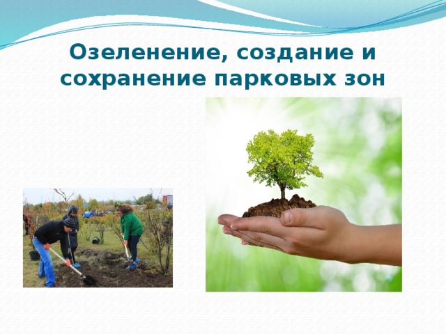 Озеленение, создание и сохранение парковых зон 