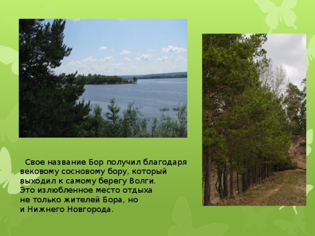  Свое название Бор получил благодаря вековому сосновому бору, который выходил к самому берегу Волги. Это излюбленное место отдыха не только жителей Бора, но и Нижнего Новгорода. 