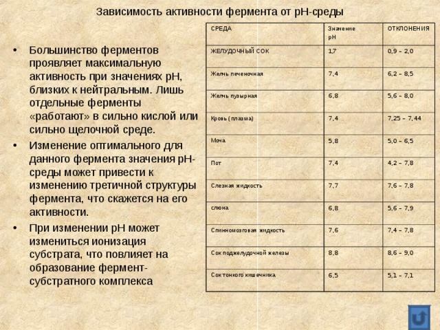 Зависимость активности фермента от рН-среды СРЕДА Значение рН ЖЕЛУДОЧНЫЙ СОК ОТКЛОНЕНИЯ 1,7 Желчь печеночная 0,9 – 2,0 Желчь пузырная 7,4 Кровь (плазма) 6,2 – 8,5 6,8 5,6 – 8,0 7,4 Моча Пот 7,25 – 7,44 5,8 Слезная жидкость 5,0 – 6,5 7,4 7,7 слюна 4,2 – 7,8 Спинномозговая жидкость 7,6 – 7,8 6,8 Сок поджелудочной железы 7,6 5,6 – 7,9 7,4 – 7,8 8,8 Сок тонкого кишечника 8,6 – 9,0 6,5 5,1 – 7,1 Большинство ферментов проявляет максимальную активность при значениях рН, близких к нейтральным. Лишь отдельные ферменты «работают» в сильно кислой или сильно щелочной среде. Изменение оптимального для данного фермента значения рН-среды может привести к изменению третичной структуры фермента, что скажется на его активности. При изменении рН может измениться ионизация субстрата, что повлияет на образование фермент- субстратного комплекса 