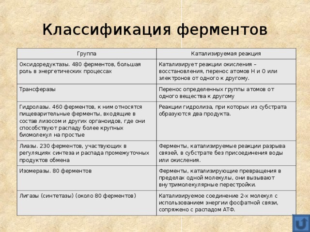 Классификация ферментов Группа Катализируемая реакция Оксидоредуктазы. 480 ферментов, большая роль в энергетических процессах Катализирует реакции окисления – восстановления, перенос атомов H и O или электронов от одного к другому. Трансферазы Перенос определенных группы атомов от одного вещества к другому Гидролазы. 460 ферментов, к ним относятся пищеварительные ферменты, входящие в состав лизосом и других органоидов, где они способствуют распаду более крупных биомолекул на простые Реакции гидролиза, при которых из субстрата образуются два продукта. Лиазы. 230 ферментов, участвующих в регуляциях синтеза и распада промежуточных продуктов обмена Ферменты, катализируемые реакции разрыва связей, в субстрате без присоединения воды или окисления. Изомеразы. 80 ферментов Ферменты, катализирующие превращения в пределах одной молекулы, они вызывают внутримолекулярные перестройки. Лигазы (синтетазы) (около 80 ферментов) Катализируемое соединение 2-х молекул с использованием энергии фосфатной связи, сопряжено с распадом АТФ. 