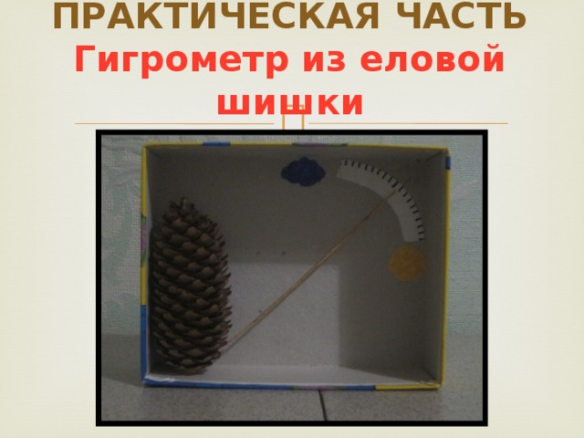 ПРАКТИЧЕСКАЯ ЧАСТЬ  Гигрометр из еловой шишки 