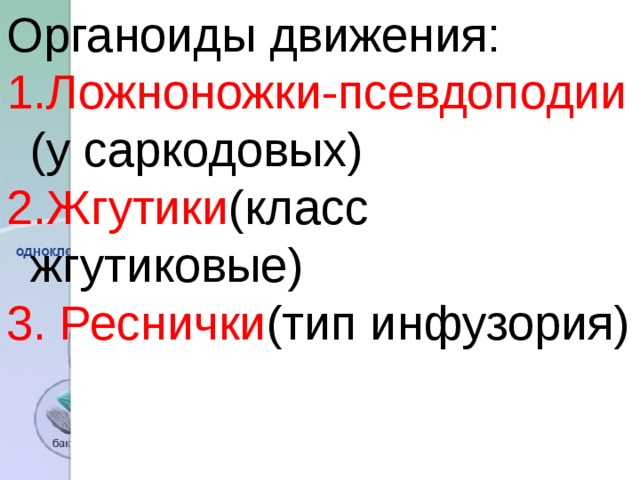 Органоиды движения: Ложноножки-псевдоподии (у саркодовых) Жгутики (класс жгутиковые)  Реснички (тип инфузория) 