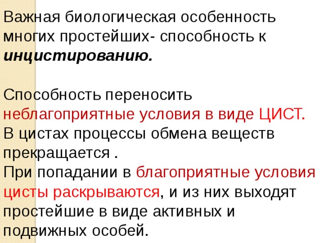 Важная биологическая особенность многих простейших- способность к инцистированию. Способность переносить неблагоприятные условия в виде ЦИСТ. В цистах процессы обмена веществ прекращается . При попадании в благоприятные условия  цисты раскрываются , и из них выходят простейшие в виде активных и подвижных особей. 