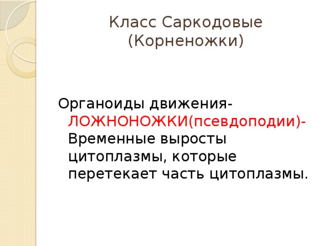 Класс Саркодовые (Корненожки) Органоиды движения- ЛОЖНОНОЖКИ(псевдоподии)- Временные выросты цитоплазмы, которые перетекает часть цитоплазмы. 
