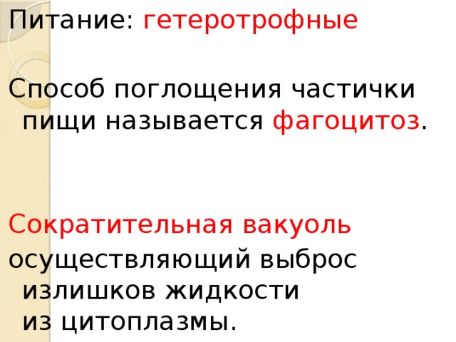 Питание: гетеротрофные Способ поглощения частички пищи называется фагоцитоз . Сократительная вакуоль осуществляющий выброс излишков жидкости из цитоплазмы.  