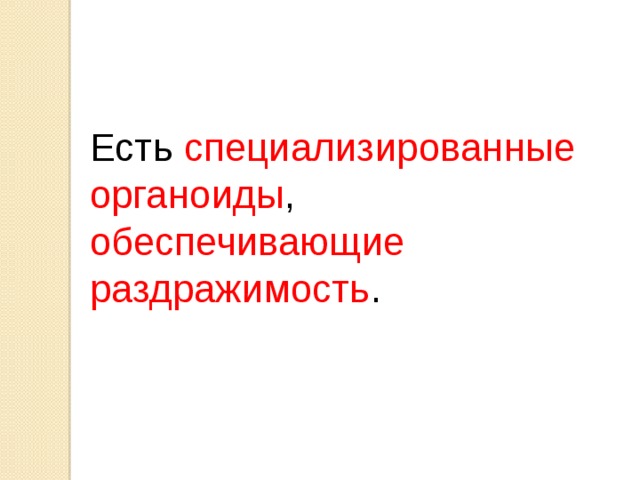 Есть специализированные органоиды , обеспечивающие раздражимость . 