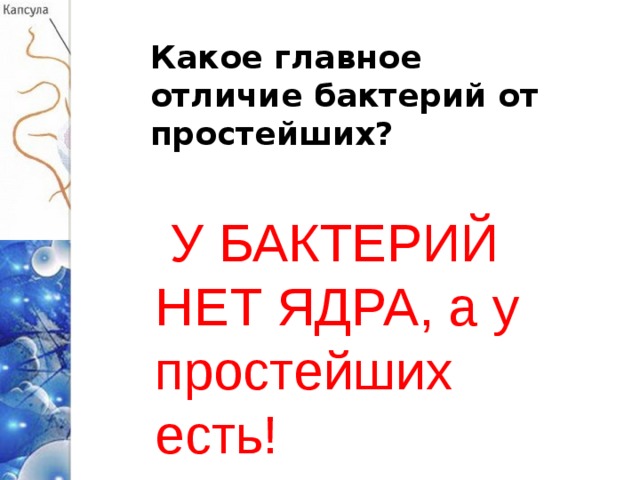 Какое главное отличие бактерий от простейших?  У БАКТЕРИЙ НЕТ ЯДРА, а у простейших есть! 