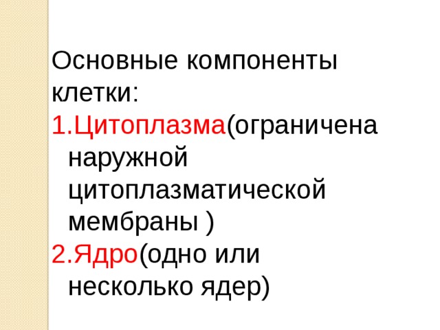 Основные компоненты клетки: Цитоплазма (ограничена наружной цитоплазматической мембраны ) Ядро (одно или несколько ядер) 