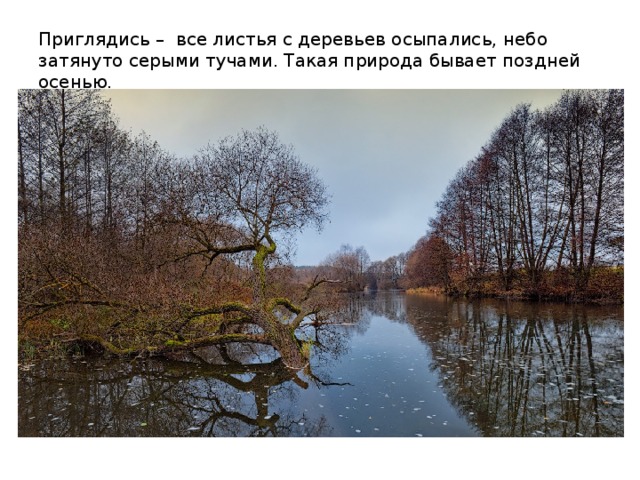 Приглядись – все листья с деревьев осыпались, небо затянуто серыми тучами. Такая природа бывает поздней осенью. 