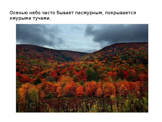 Осенью небо часто бывает пасмурным, покрывается хмурыми тучами. 