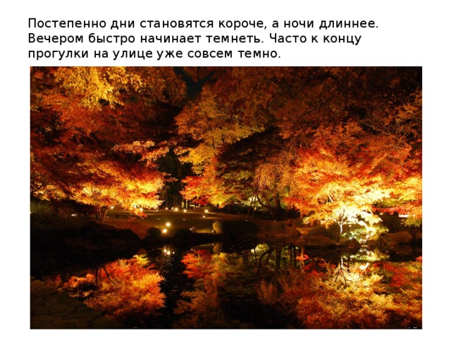 Постепенно дни становятся короче, а ночи длиннее. Вечером быстро начинает темнеть. Часто к концу прогулки на улице уже совсем темно. 