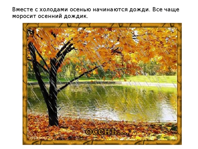 Вместе с холодами осенью начинаются дожди. Все чаще моросит осенний дождик. 