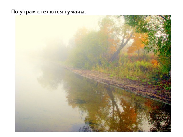 По утрам стелются туманы. 