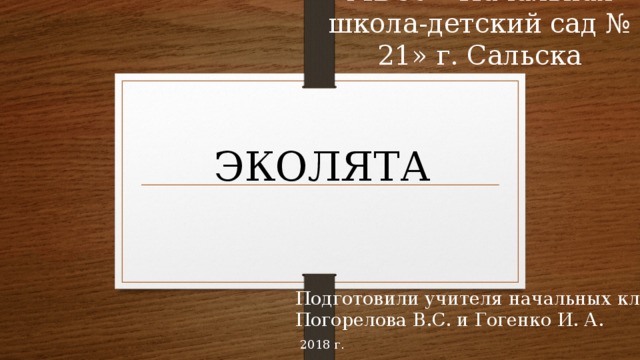 МБОУ «Начальная школа-детский сад № 21» г. Сальска ЭКОЛЯТА Подготовили учителя начальных классов Погорелова В.С. и Гогенко И. А. 2018 г. 