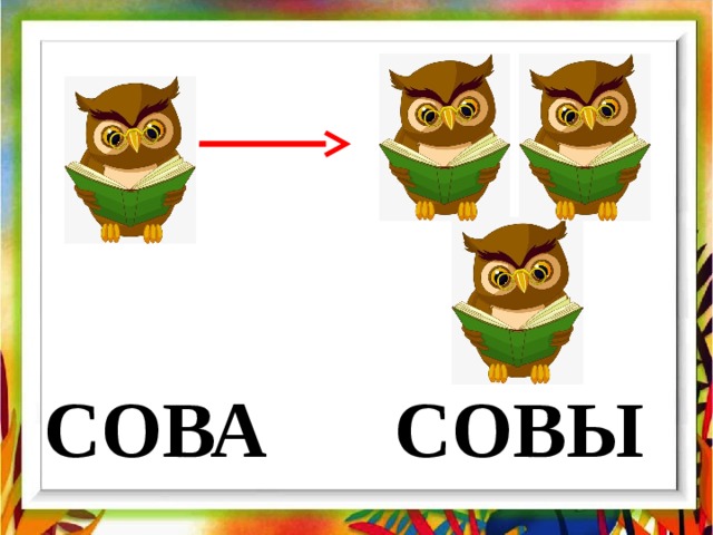 СОВА СОВЫ 