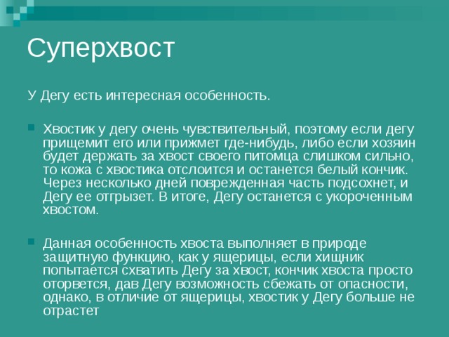 Суперхвост У Дегу есть интересная особенность. Хвостик у дегу очень чувствительный, поэтому если дегу прищемит его или прижмет где-нибудь, либо если хозяин будет держать за хвост своего питомца слишком сильно, то кожа с хвостика отслоится и останется белый кончик. Через несколько дней поврежденная часть подсохнет, и Дегу ее отгрызет. В итоге, Дегу останется с укороченным хвостом. Данная особенность хвоста выполняет в природе защитную функцию, как у ящерицы, если хищник попытается схватить Дегу за хвост, кончик хвоста просто оторвется, дав Дегу возможность сбежать от опасности, однако, в отличие от ящерицы, хвостик у Дегу больше не отрастет 