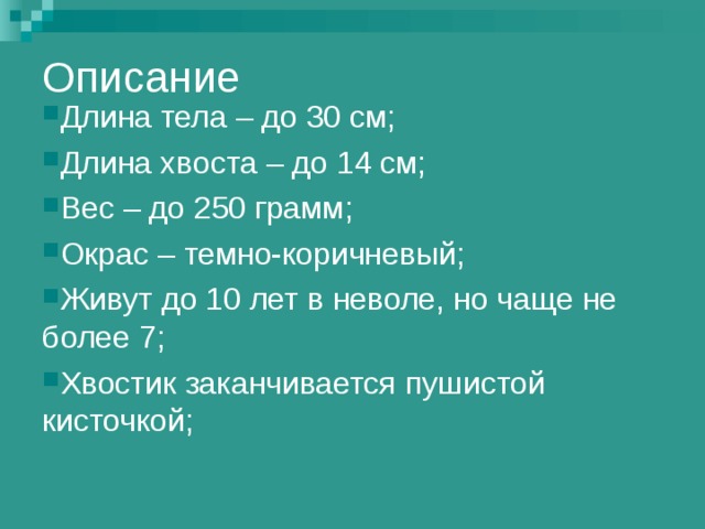 Описание Длина тела – до 30 см; Длина хвоста – до 14 см; Вес – до 250 грамм; Окрас – темно-коричневый; Живут до 10 лет в неволе, но чаще не более 7; Хвостик заканчивается пушистой кисточкой; 