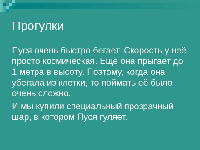 Прогулки Пуся очень быстро бегает. Скорость у неё просто космическая. Ещё она прыгает до 1 метра в высоту. Поэтому, когда она убегала из клетки, то поймать её было очень сложно. И мы купили специальный прозрачный шар, в котором Пуся гуляет. 