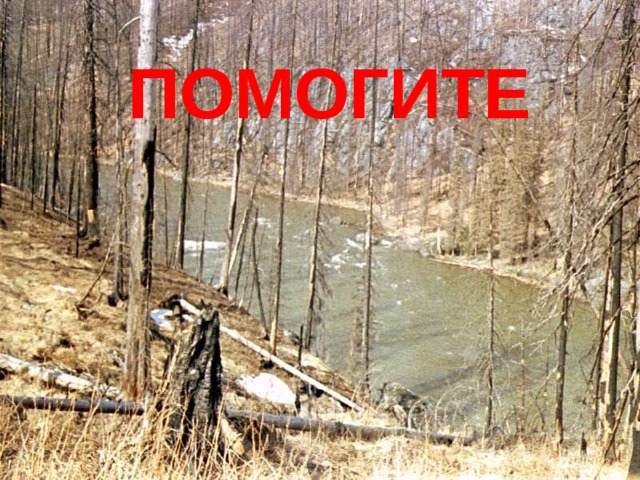 ПОМОГИТЕ 
