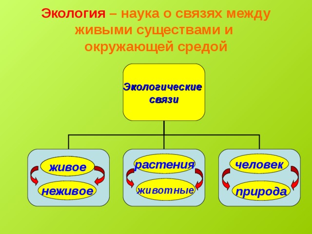 Экология – наука о связях между живыми существами и  окружающей средой Экологические связи человек растения живое животные неживое природа 