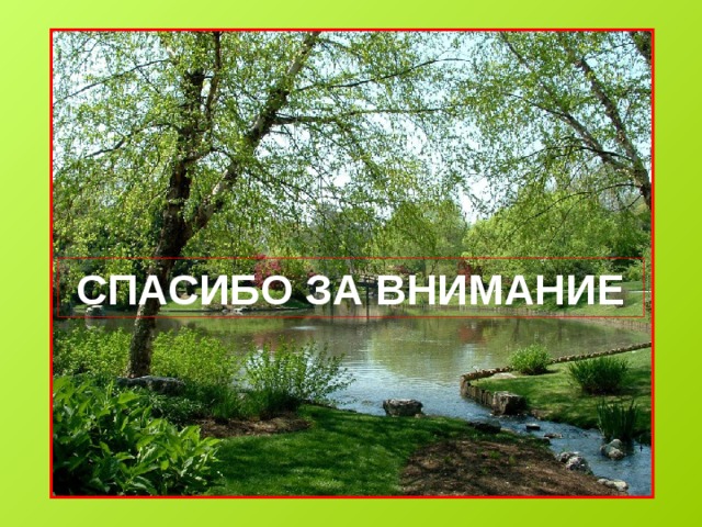 СПАСИБО ЗА ВНИМАНИЕ 