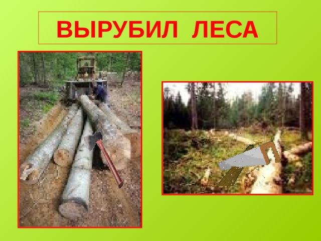 ВЫРУБИЛ ЛЕСА 