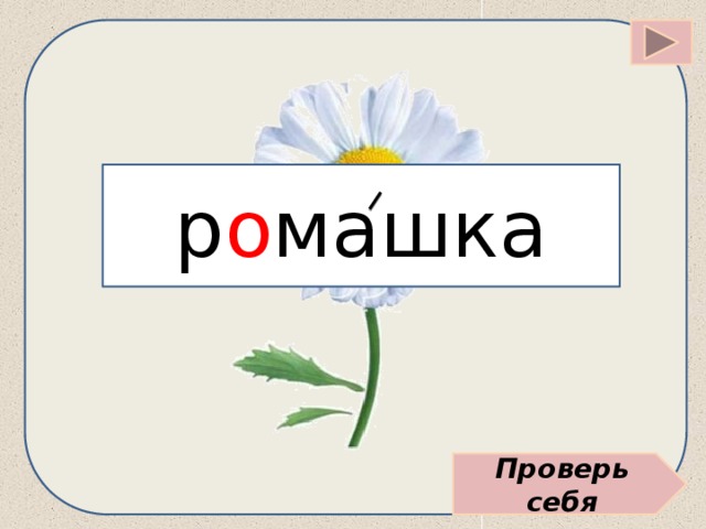 р о машка Проверь себя 