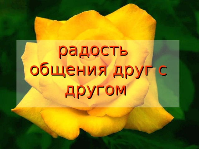 радость  общения друг с другом  