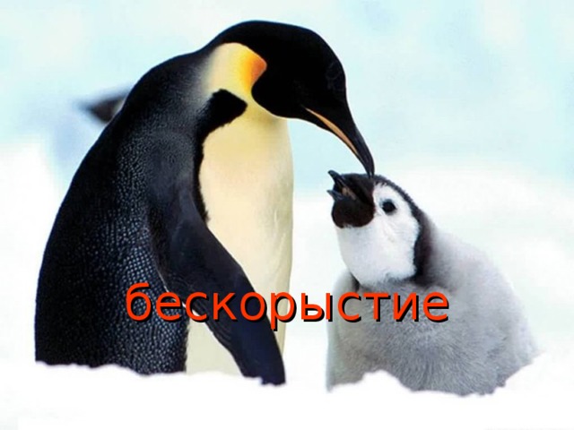 бескорыстие  