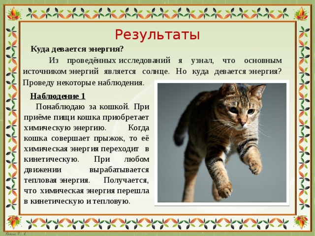 Результаты  Куда девается энергия?  Из проведённых исследований я узнал, что основным источником энергий является солнце. Но куда девается энергия? Проведу некоторые наблюдения.  Наблюдение 1  Понаблюдаю за кошкой. При приёме пищи кошка приобретает химическую энергию. Когда кошка совершает прыжок, то её химическая энергия переходит в кинетическую. При любом движении вырабатывается тепловая энергия. Получается, что химическая энергия перешла в кинетическую и тепловую.