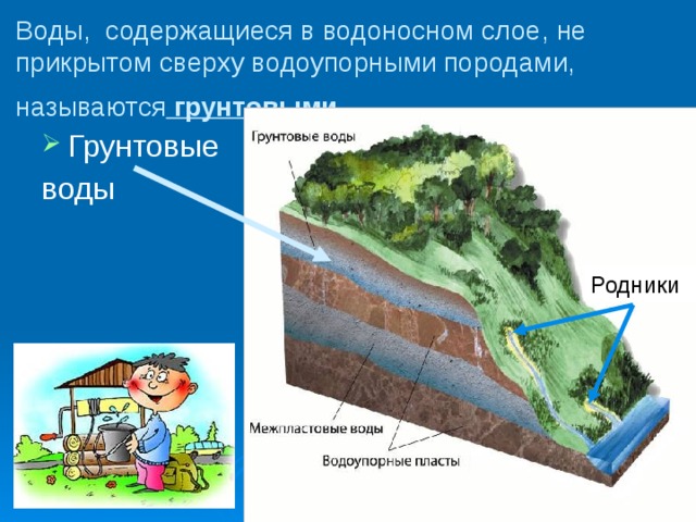 Воды, содержащиеся в водоносном слое, не прикрытом сверху водоупорными породами, называются грунтовыми .  Грунтовые воды Родники 