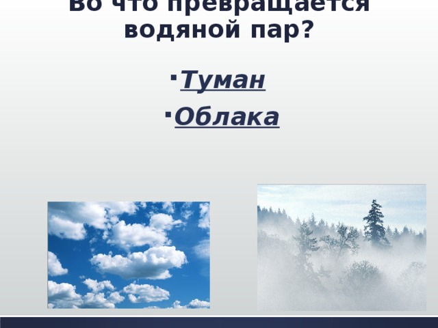 Во что превращается водяной пар? Туман  Облака  