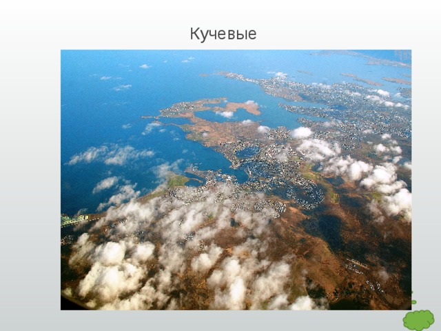 Кучевые  