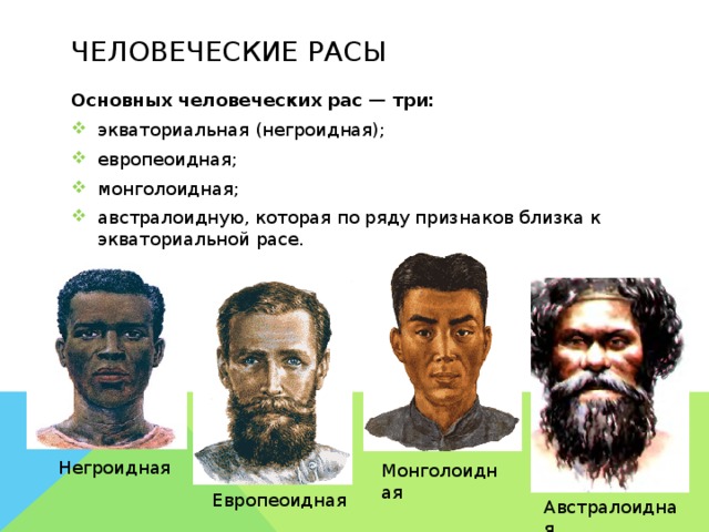 Человеческие расы Основных человеческих рас — три: экваториальная (негроидная); европеоидная; монголоидная; австралоидную, которая по ряду признаков близка к экваториальной расе.     Негроидная Монголоидная Европеоидная Австралоидная 