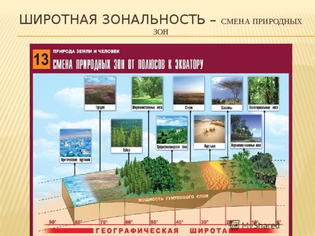 Широтная зональность – смена природных зон 