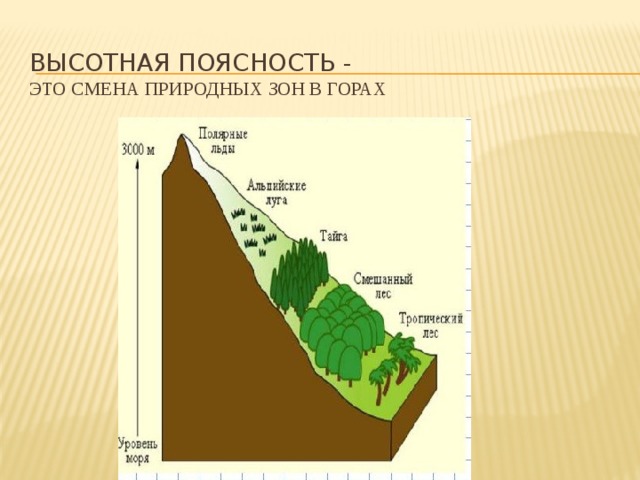 Высотная поясность -   это смена природных зон в горах 