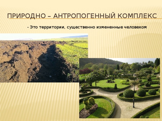 Природно – антропогенный комплекс - Это территории, существенно измененные человеком 
