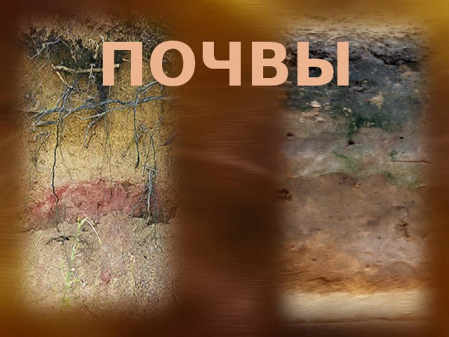 10/3/18  09:09:35 PM ПОЧВЫ © Корпорация Майкрософт (Microsoft Corporation), 2007. Все права защищены. Microsoft, Windows, Windows Vista и другие названия продуктов являются или могут являться зарегистрированными товарными знаками и/или товарными знаками в США и/или других странах.  Информация приведена в этом документе только в демонстрационных целях и не отражает точку зрения представителей корпорации Майкрософт на момент составления данной презентации. Поскольку корпорация Майкрософт вынуждена учитывать меняющиеся рыночные условия, она не гарантирует точность информации, указанной после составления этой презентации, а также не берет на себя подобной обязанности.  КОРПОРАЦИЯ МАЙКРОСОФТ НЕ ДАЕТ НИКАКИХ ЯВНЫХ, ПОДРАЗУМЕВАЕМЫХ ИЛИ ЗАКРЕПЛЕННЫХ ЗАКОНОДАТЕЛЬСТВОМ ГАРАНТИЙ В ОТНОШЕНИИ СВЕДЕНИЙ ИЗ ЭТОЙ ПРЕЗЕНТАЦИИ. 