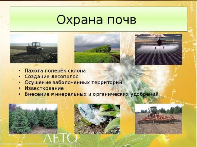 Охрана почв 