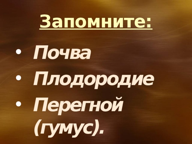 Запомните: Почва Плодородие Перегной (гумус). Докучаев 