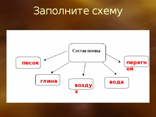 Заполните схему перегной песок глина вода воздух 