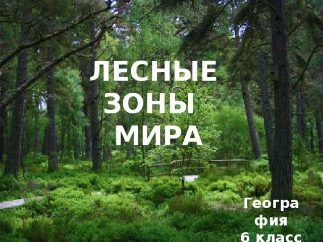 ЛЕСНЫЕ ЗОНЫ  МИРА География 6 класс 