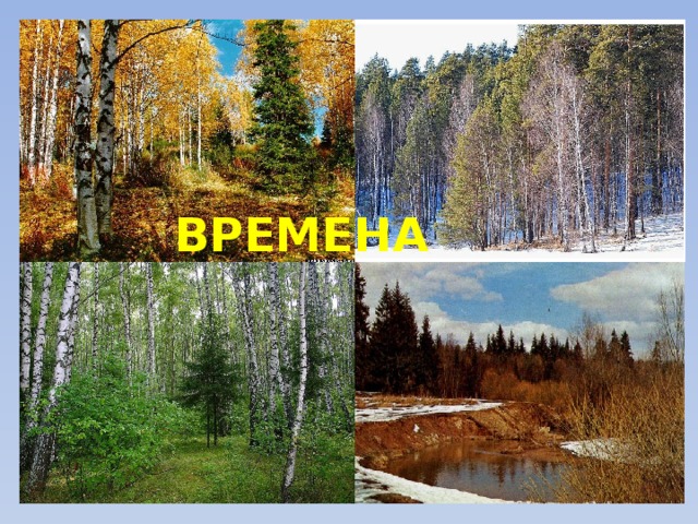 ВРЕМЕНА ГОДА 