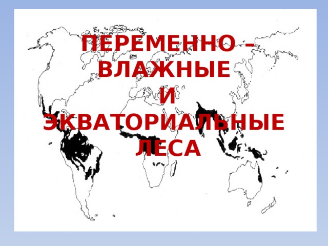 ПЕРЕМЕННО – ВЛАЖНЫЕ И  ЭКВАТОРИАЛЬНЫЕ ЛЕСА 