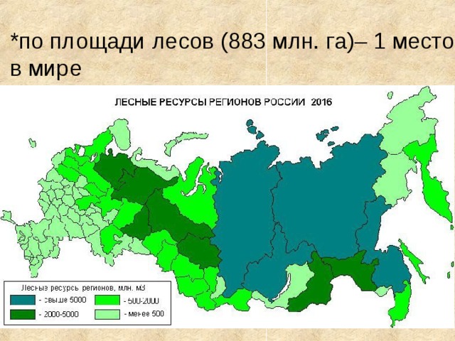 *по площади лесов (883 млн. га)– 1 место в мире 